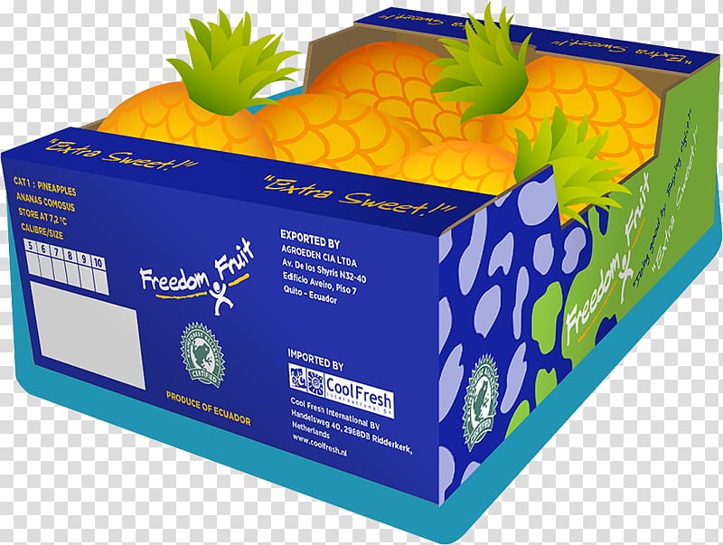 Fruit Netherlands Pineapple, fresh and cool transparent background PNG clipart