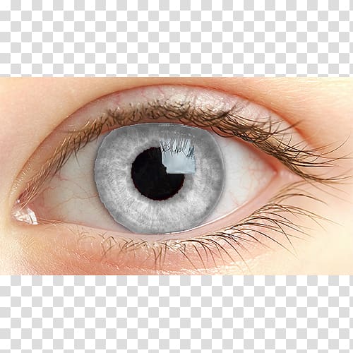 Light Human eye Iris Retina, light transparent background PNG clipart