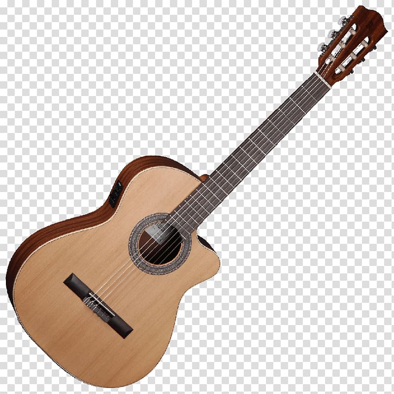 Twelve-string guitar C. F. Martin & Company Acoustic-electric guitar Steel-string acoustic guitar, guitar transparent background PNG clipart