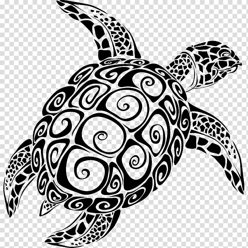Sea turtle graphics The Turtle , turtle transparent background PNG clipart