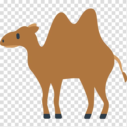 Dromedary Bactrian camel Emoji Emoticon SMS, camel transparent background PNG clipart