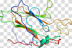 Line art Point Organism , line transparent background PNG clipart thumbnail