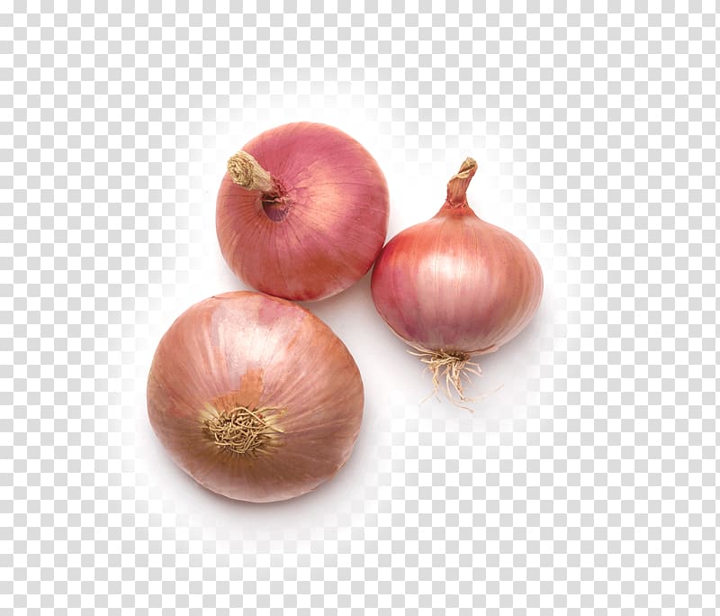 Yellow onion Shallot Figueres onion Garlic Ryvita, CEBOLLA transparent background PNG clipart