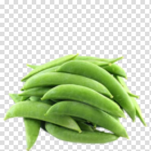 Snap pea Green bean Common Bean Vegetable, pea transparent background PNG clipart