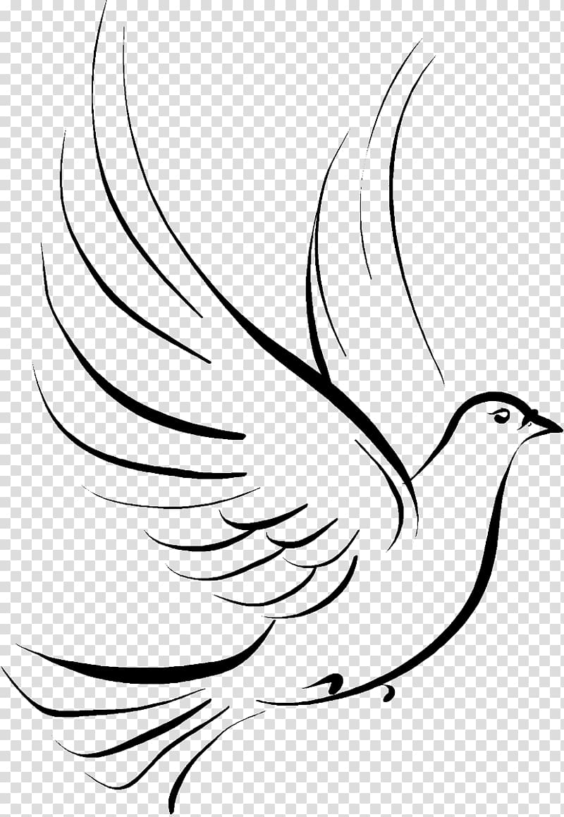 black bird illustration, Columbidae Doves as symbols Drawing , funeral transparent background PNG clipart
