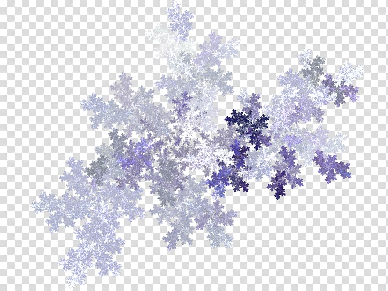 Snowflake Light Apophysis Pattern, snowflakes transparent background PNG clipart
