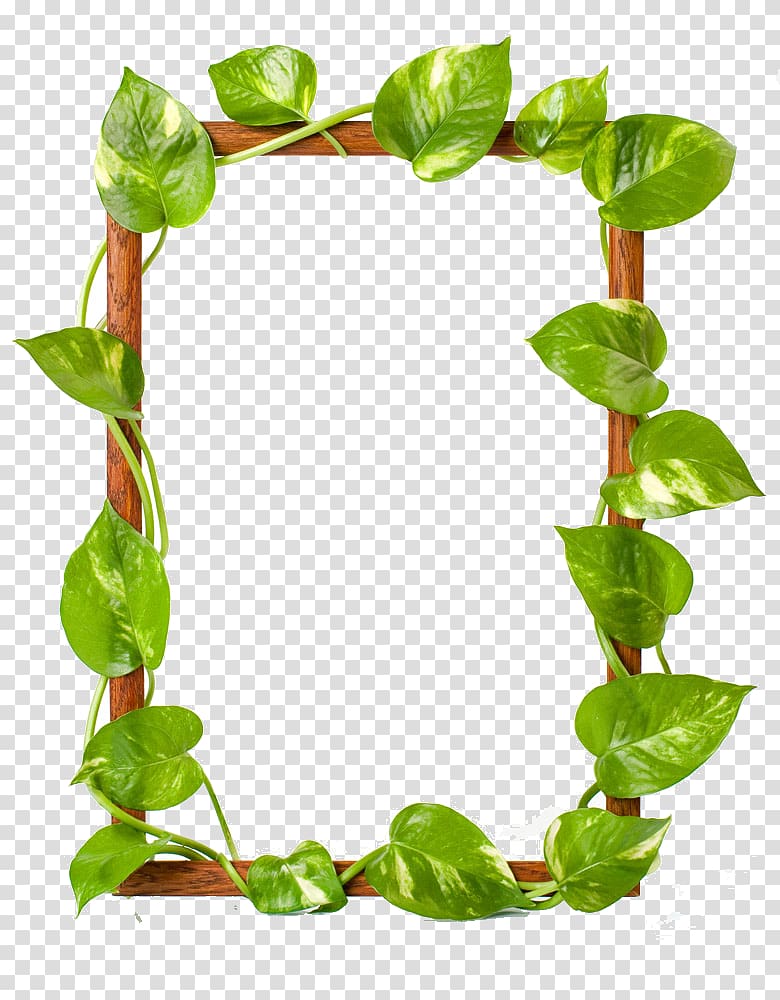brown wooden frame green leaves , frame Raster graphics Leaf , Green leaves border transparent background PNG clipart