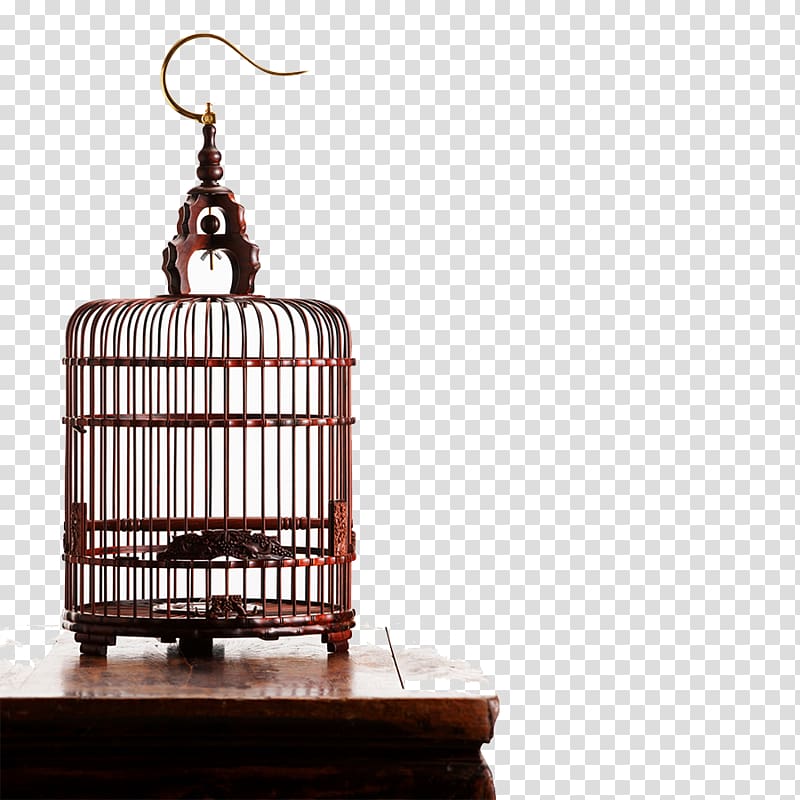 Birdcage Computer file, Vintage Birdcage transparent background PNG clipart