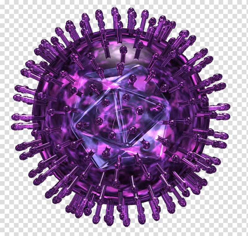 Herpes simplex virus Herpesviruses Herpes labialis, virus amplifying mycoplasma transparent background PNG clipart