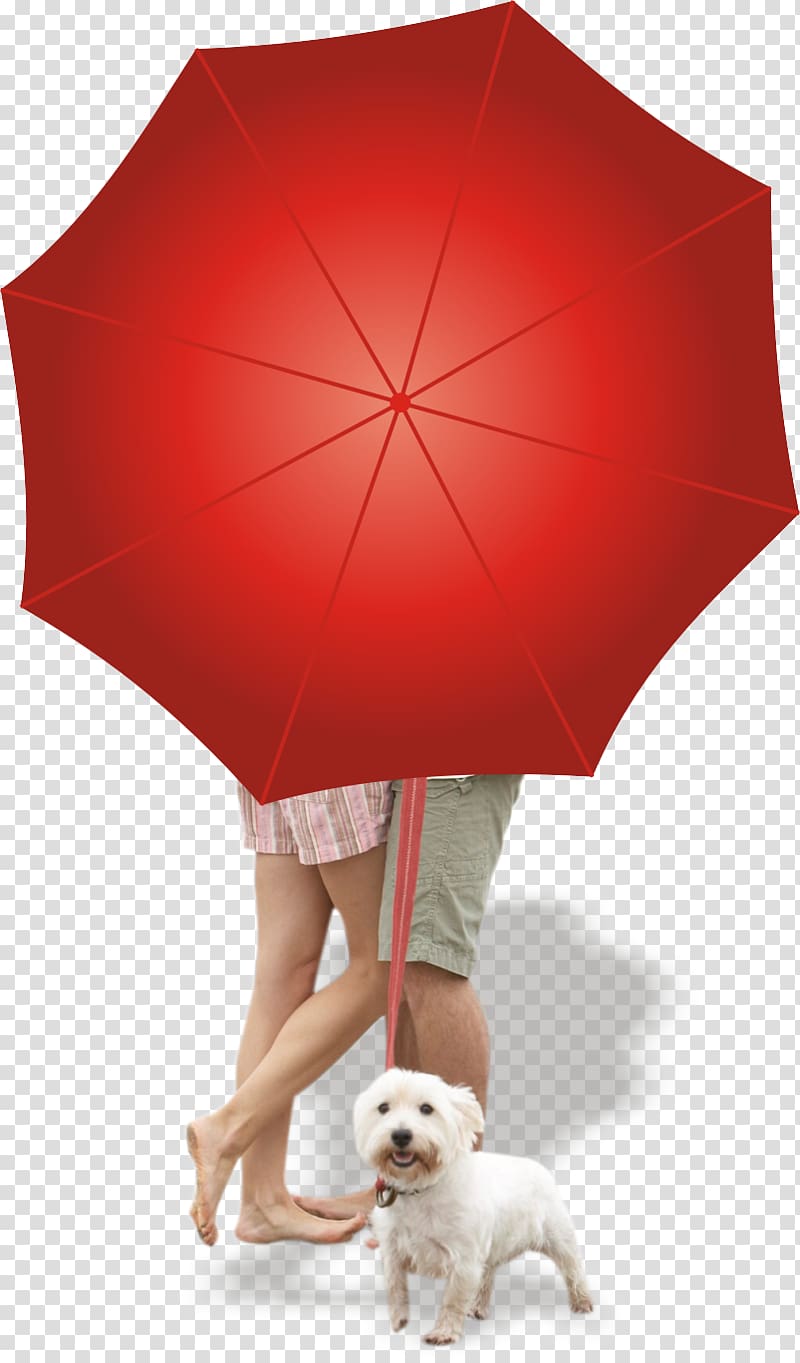 Umbrella Red, Open red umbrella transparent background PNG clipart