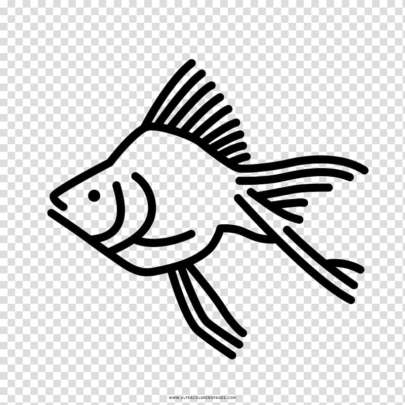 Goldfish Coloring book Drawing Aquarium, fish transparent background PNG clipart