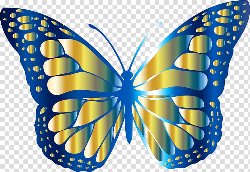 Monarch butterfly , fly transparent background PNG clipart