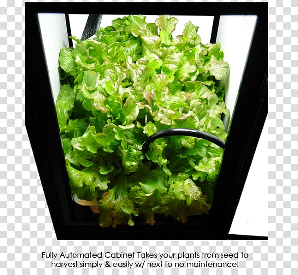 Grow box Growroom Hydroponics Grow light Light-emitting diode, light transparent background PNG clipart