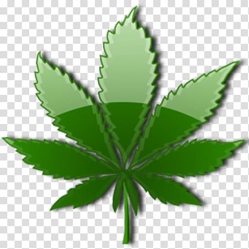 Cannabis sativa Leaf Drug Endocannabinoid system, weed transparent background PNG clipart