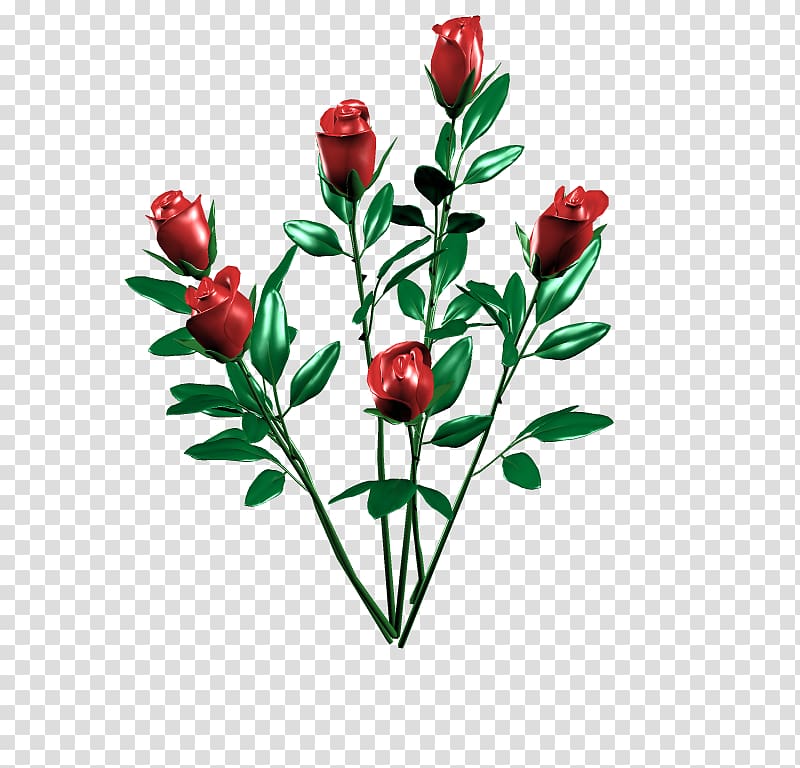 Cut flowers Rosa × alba Rose family Floral design, design transparent background PNG clipart