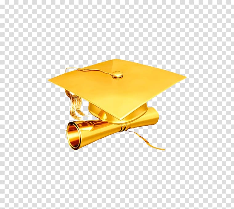 Master of Business Administration Business school College Graduation ceremony, Metal hat transparent background PNG clipart