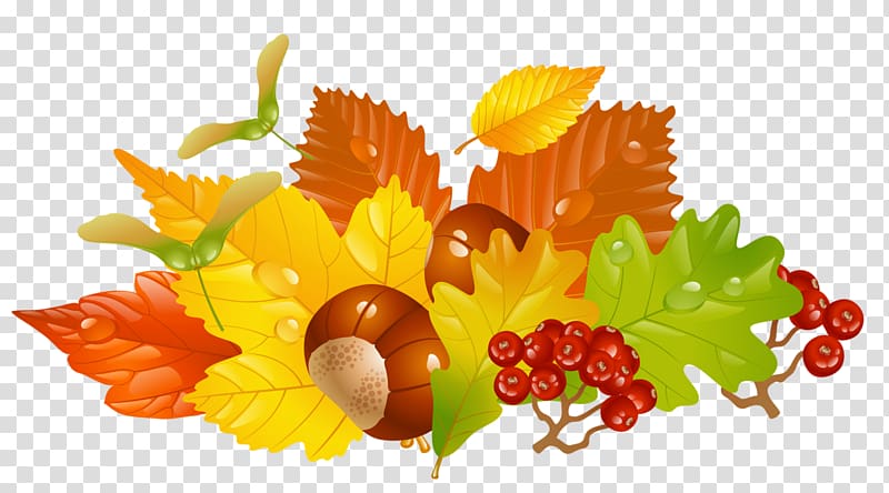 red cherries graphics art, Autumn leaf color , Fall Leaves and Chestnuts transparent background PNG clipart