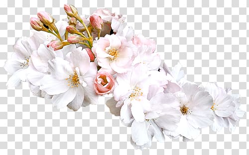 Floral design Flower Preview, others transparent background PNG clipart