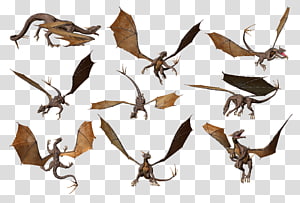 Wing Chinese dragon , others transparent background PNG clipart thumbnail