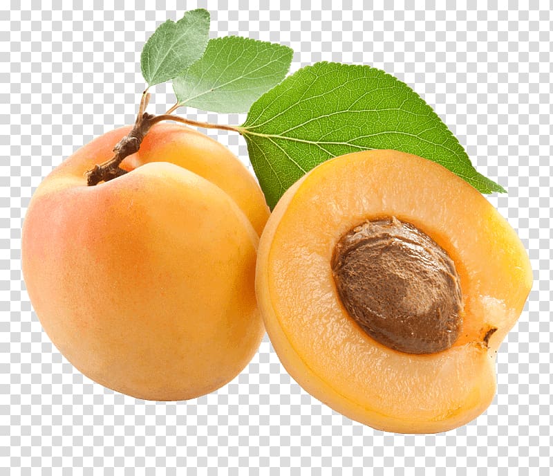 Apricot kernel Apricot oil Amygdalin, apricot transparent background PNG clipart