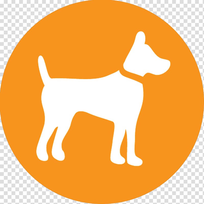Puppy Affenpinscher Afghan Hound Airedale Terrier Pet Shop, puppy transparent background PNG clipart