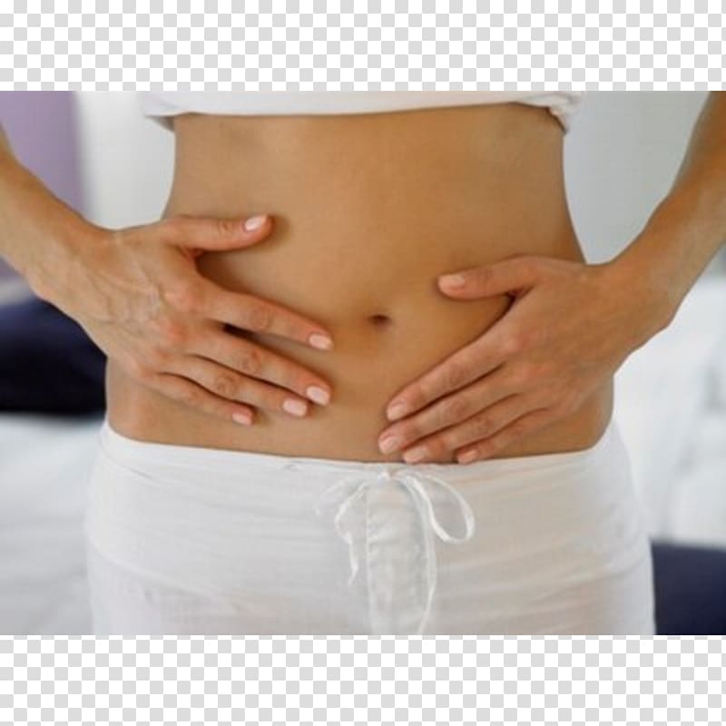 Stomach Digestion Health Large intestine, health transparent background PNG clipart