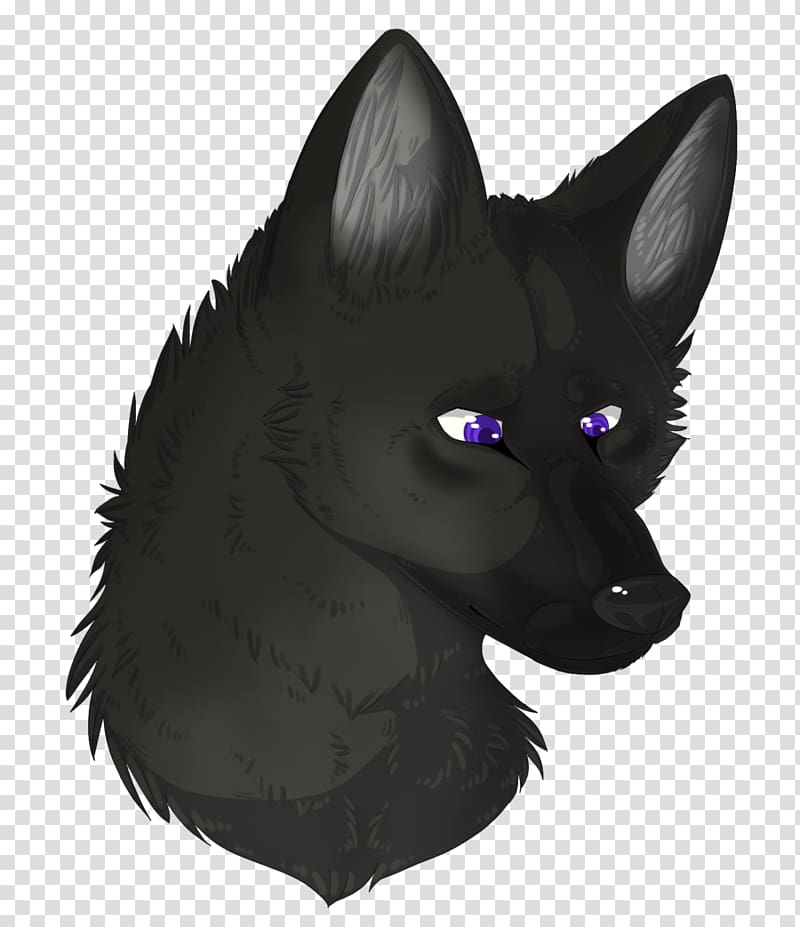 Black cat Whiskers Schipperke Red fox, Cat transparent background PNG clipart