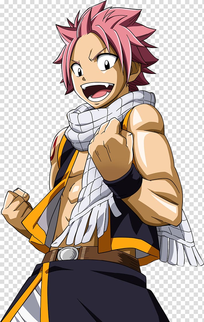 Natsu Dragneel Lucy Heartfilia Erza Scarlet Gray Fullbuster Fairy Tail, fairy tail transparent background PNG clipart
