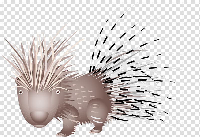 Domesticated hedgehog Porcupine Disease Dog, porcupine transparent background PNG clipart