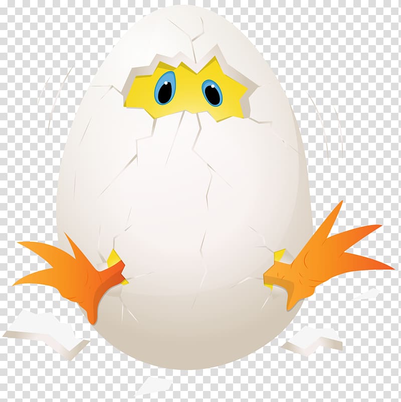 white hatching egg illustration, Chicken Eggs Benedict , Easter Chicken in Egg transparent background PNG clipart