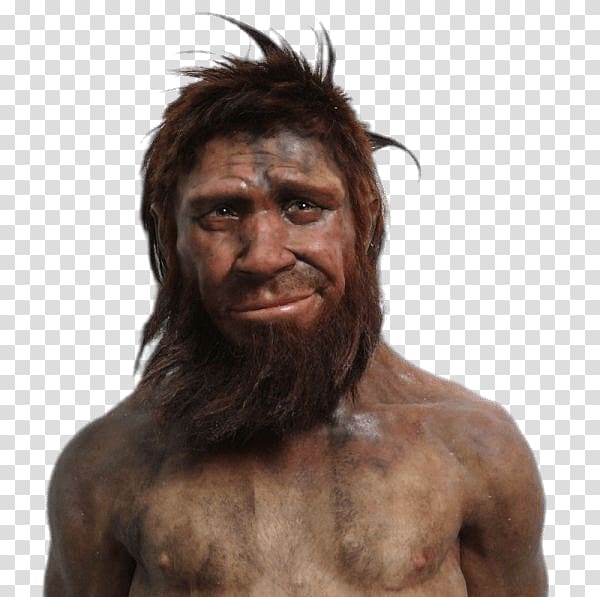 Neanderthal Caveman Human evolution Homme de Spy, caveman transparent background PNG clipart
