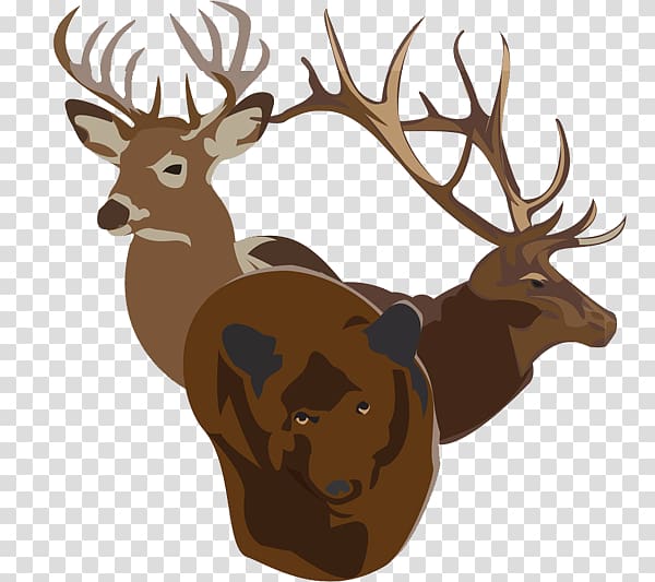 Elk Reindeer Hunting Antler, deer transparent background PNG clipart