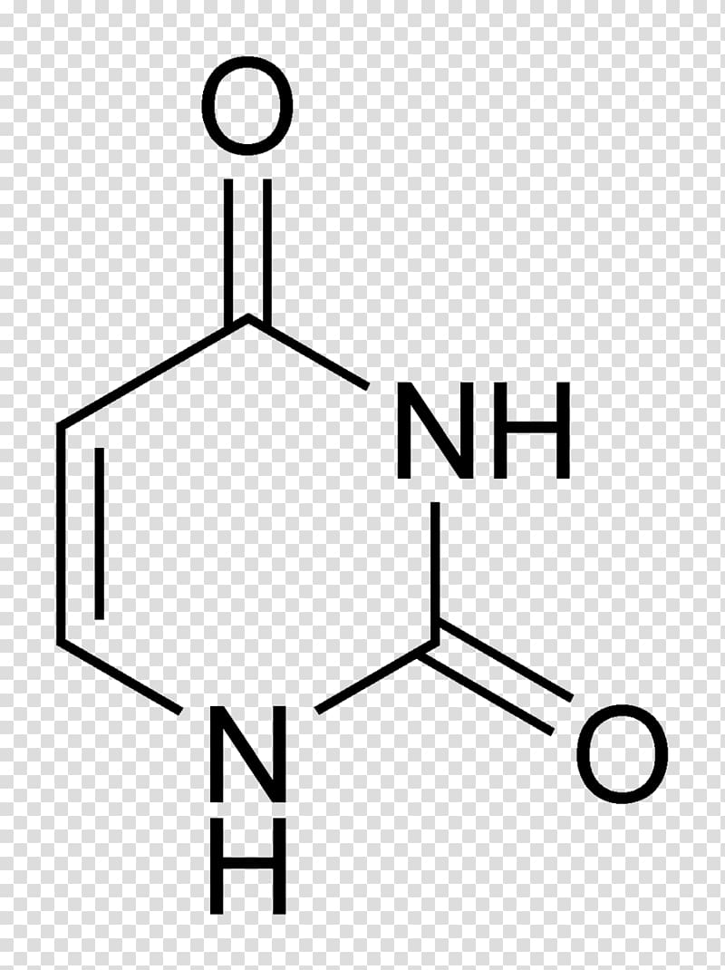 Uracil Thymine Adenine Nucleobase Pyrimidine, no chemical added transparent background PNG clipart