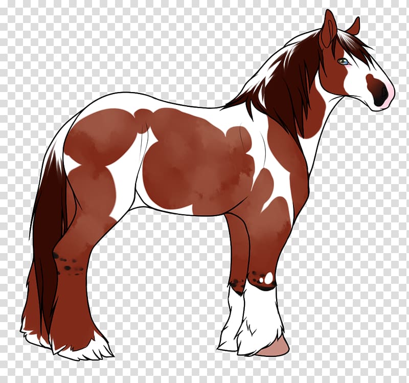 Foal Mane Stallion Mare Colt, mustang transparent background PNG clipart