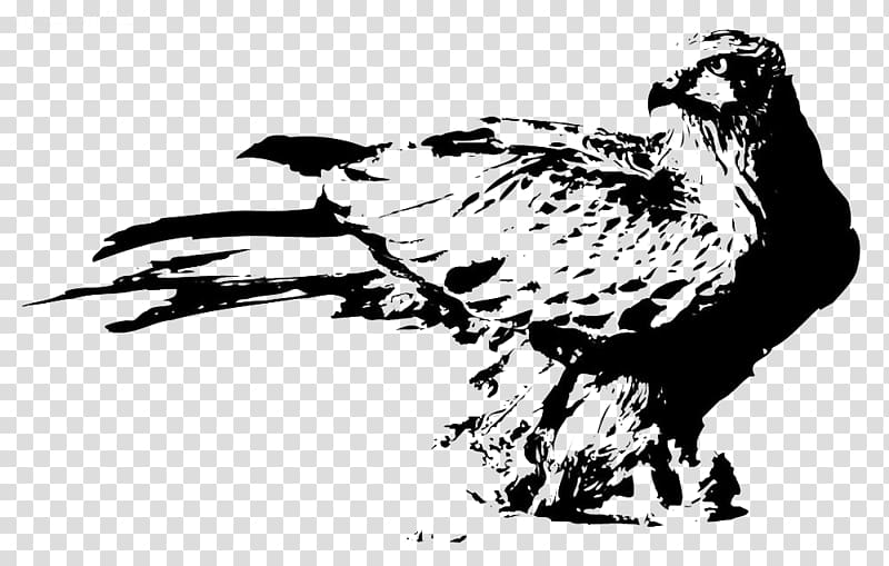 u6c34u58a8u753bu9e70 Bird Ink wash painting, Traditional ink jet eagle digging material transparent background PNG clipart