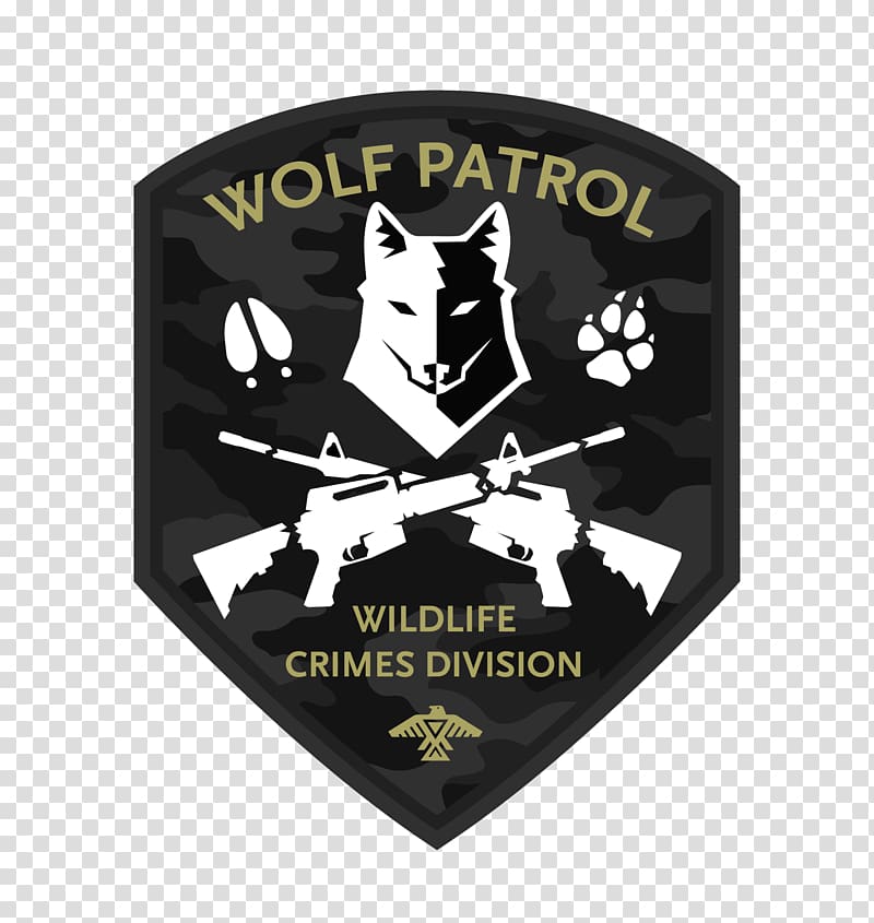 Gray wolf Wisconsin Coyote Beloit International Film Festival Documentary film, Wolf paw transparent background PNG clipart