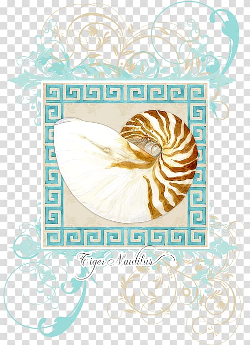 Seashell Nautilidae Light Curtain, seashell transparent background PNG clipart