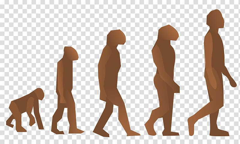 Human evolution Homo sapiens Biology Origen del hombre, science transparent background PNG clipart