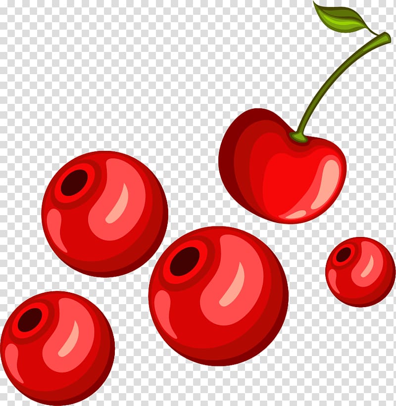 Cherry Euclidean , Lovely cherry material transparent background PNG clipart