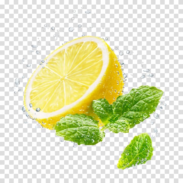 Lemon-lime drink Chris Hutter Fotostudio b.v. Bar-le-Duc, lemon transparent background PNG clipart