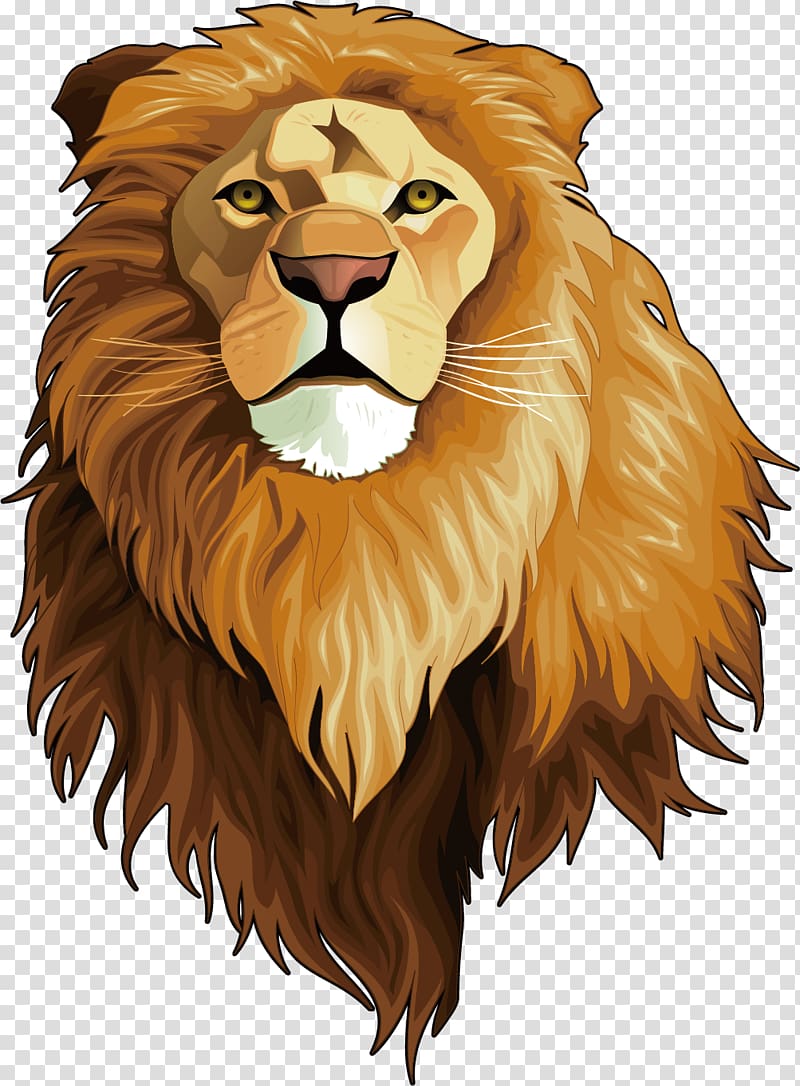 lion , What Is a Carnivore? Omnivore Animal Herbivore, The Lion King Avatar transparent background PNG clipart