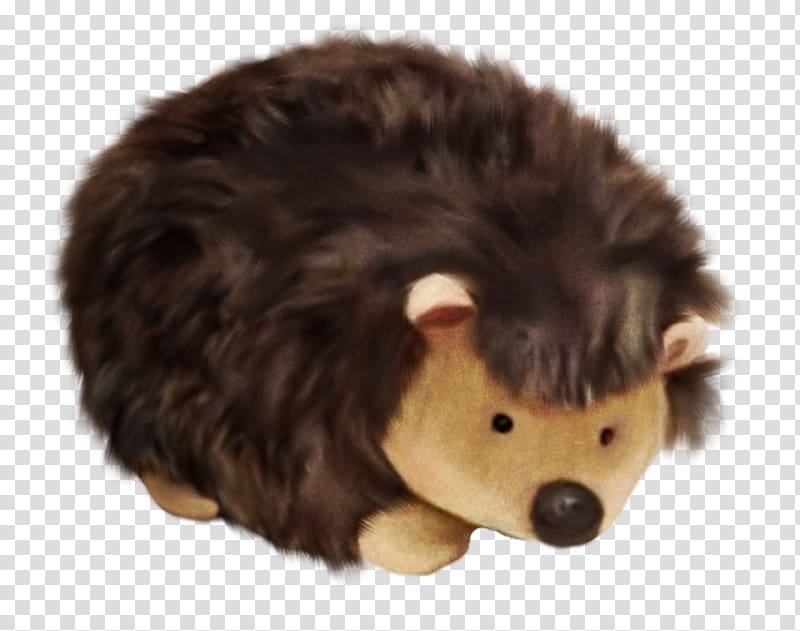 Hedgehog Pet, Brown hedgehog transparent background PNG clipart