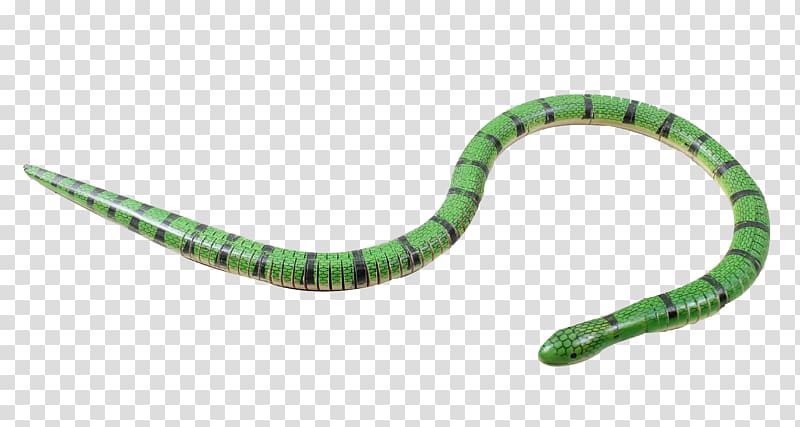 Venomous snake Cobra Animal, Green toy snake transparent background PNG clipart