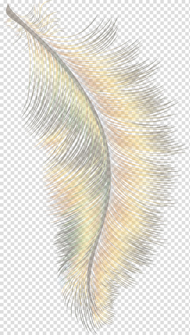 Feather Cartoon Wing, Feather material transparent background PNG clipart