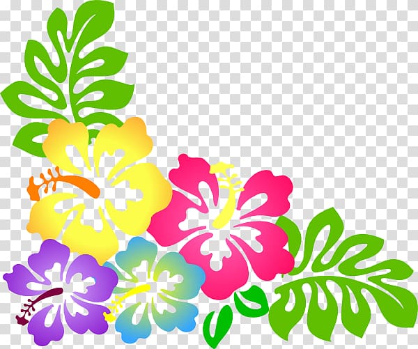 assorted-color Hibiscus , Cuisine of Hawaii Luau Blue Hawaii , Hawaii flower transparent background PNG clipart