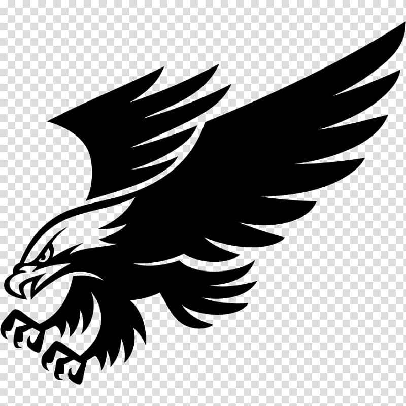 Bald Eagle Bumper sticker Wall decal, eagle transparent background PNG clipart