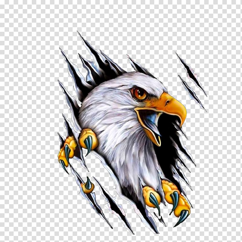 Car Mile High Harley-Davidson Motorcycle Decal, eagle, bald eagle painting transparent background PNG clipart