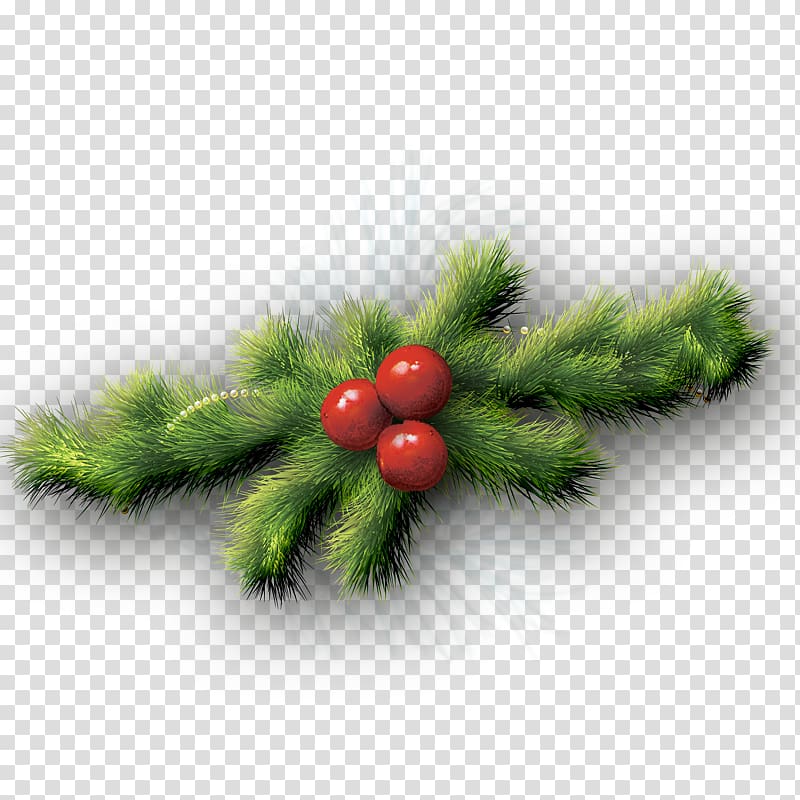 Fir Christmas ornament Spruce Pine, Grass transparent background PNG clipart