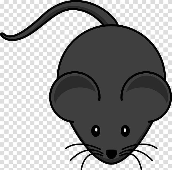 gray mouse illustration, Computer mouse , Cartoon Mouse transparent background PNG clipart