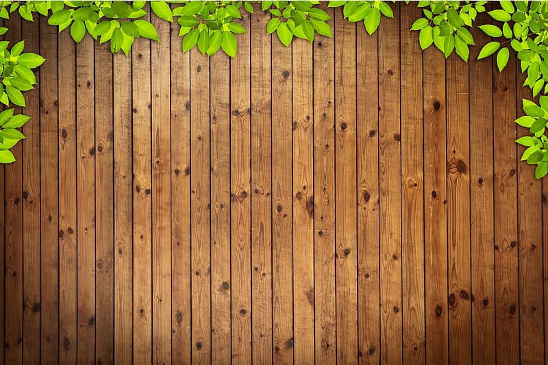 green leaf frame wood background transparent background PNG clipart